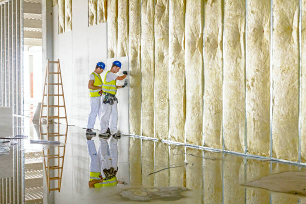 Best Crawl Space Insulation  in Hampton, IA